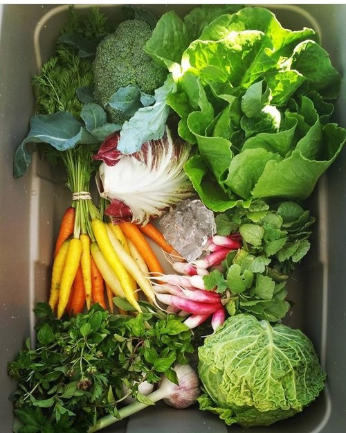 Box of Fresh Veggies